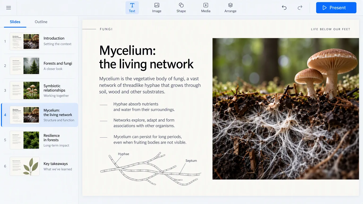 AI プレゼンツールのスライド一覧画面です。「Slides」と「Outline」の 2 つのタブがあるパネルに番号付きの行が 6 つ並び、各行にはサムネイル、タイトル、1 行の要約があります。4 行目の「Mycelium: the living network」が現在の行として強調されています。ツールバーには Text、Image、Shape、Media、Arrange が並び、その右に Present があります。キャンバスにはその行が指すスライドが表示されています。見出しは「Mycelium: the living network」、柱は「FUNGI」と「LIFE BELOW OUR FEET」、その下に短い箇条書きが 3 つ、名称が記された菌糸の図、そして土中のキノコの写真があります。